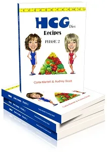 Hand-drawn caricature book cover illustration designed by MyCaricature for an author